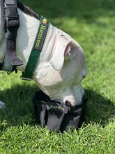 Load image into Gallery viewer, Collapse-a-Bowl for Dogs - Portable Water Bowl for Hiking, Running, and Walking - Free Monogram - Hand-Made in the USA!