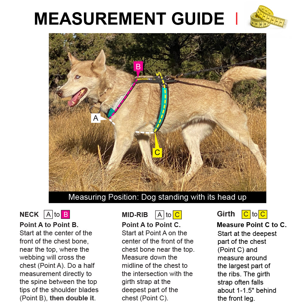 Urban Trail® Adjustable Harness (Half-Back/Shorty) - CUSTOM FIT