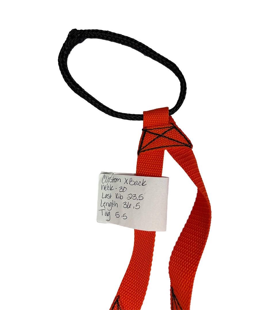 X-Back Harness ORANGE 30 x 36.5, 23.5