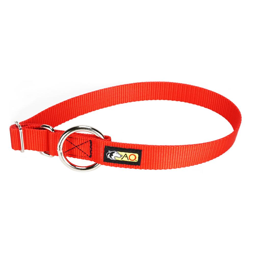 Dog collar store leash ring
