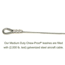 Load image into Gallery viewer, Chew-Proof® Dog Leashes (Cable Filled), Reflective, Padded Handle – Made in USA!