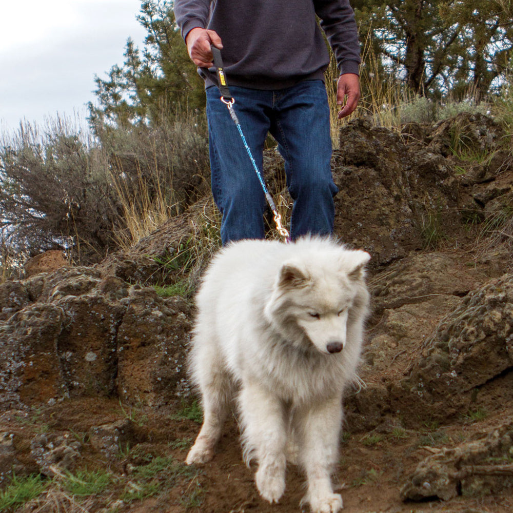 Chew-Proof® Dog Leashes
