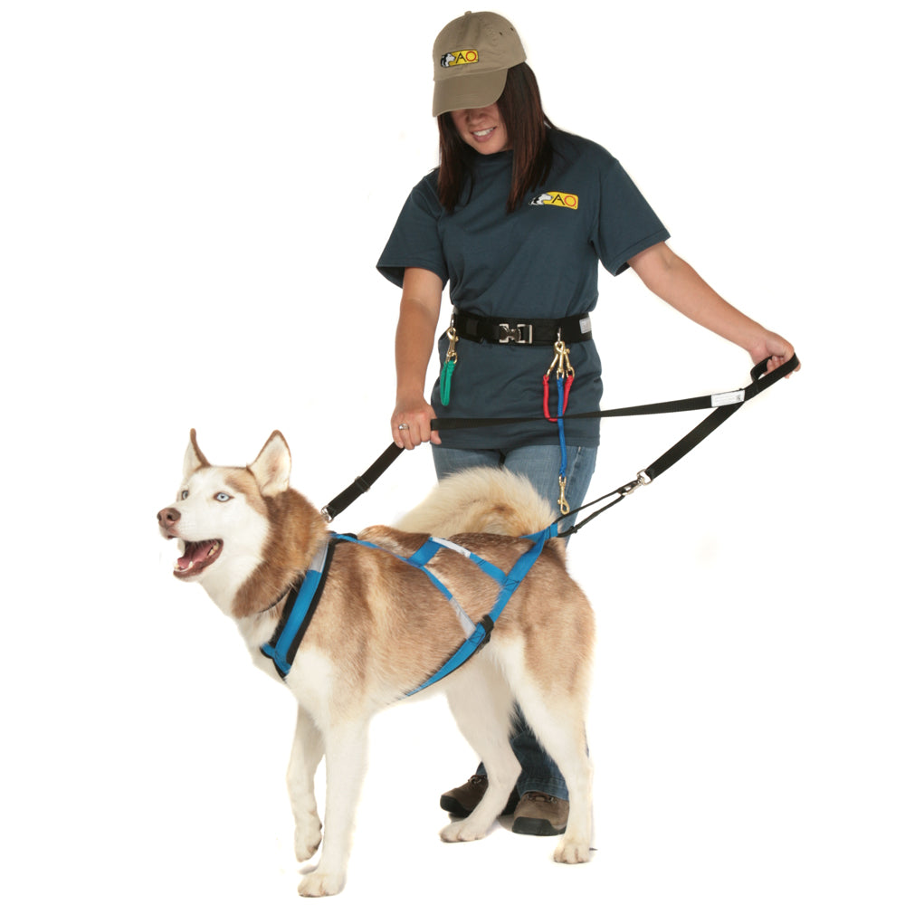 Command Training Leash – Alpine Outfitters