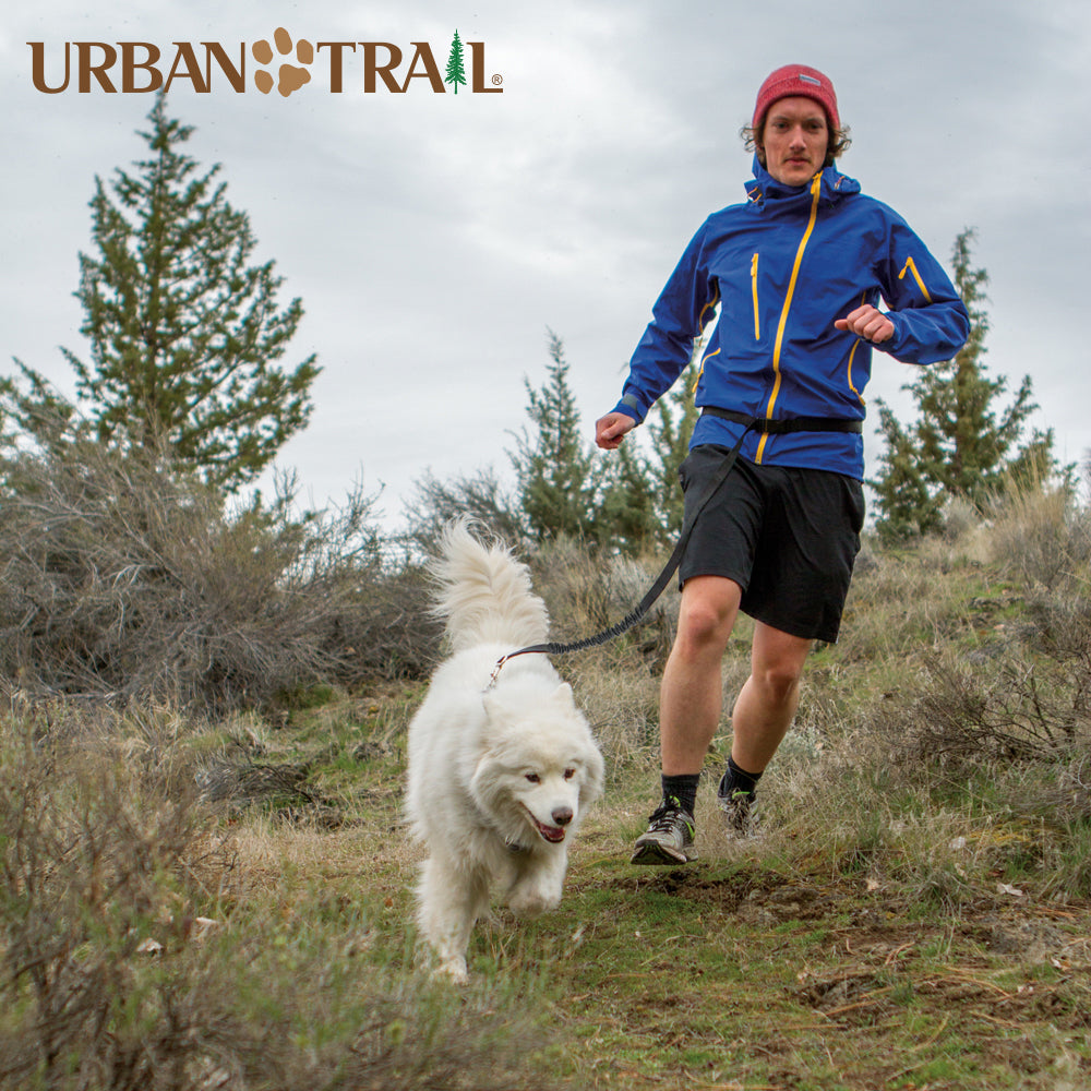 Urban Trail® Double Duty Leash – Alpine Outfitters