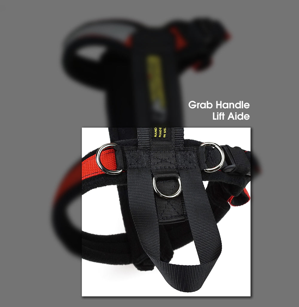 Urban Trail® Adjustable Harness (Half-Back/Shorty) - CUSTOM FIT