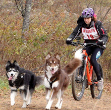 Load image into Gallery viewer, Two Dog Scooter & Bike Leash - Bikejoring Line with Bungee – 7ft Poly Rope, Reflective Option, Includes Post Connector - Made in the USA!