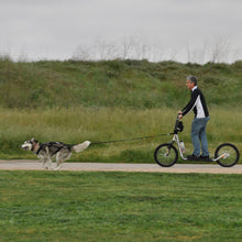 Load image into Gallery viewer, Deluxe Bikejor/Scooter Bundle (1-Dog with 2-Dog Option)