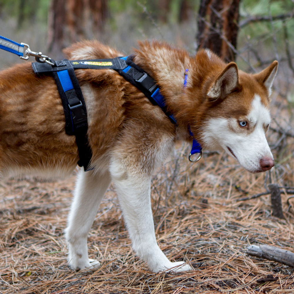 Urban Trail® Adjustable Dog Harness (Half-Back/Shorty)