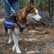 Load image into Gallery viewer, Adventure Trekking Trail Backpack for Dogs. For Use with Urban Trail Harness for Hiking, Walking and Exploring. Hand-Made in the USA!