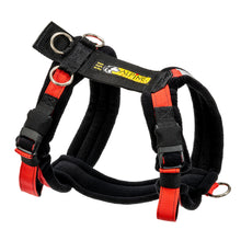 Load image into Gallery viewer, Deluxe Bikejor Bundle (1-Dog with 2-Dog Option)