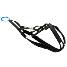 Load image into Gallery viewer, X-Back Mushing Harness with Fleece – Ready-to-Go Sizes - Padded Gear for Active Dogs, Sled Dog, Bikejor, Scootering, Canicross - Alpine Outfitters Made-in-USA!
