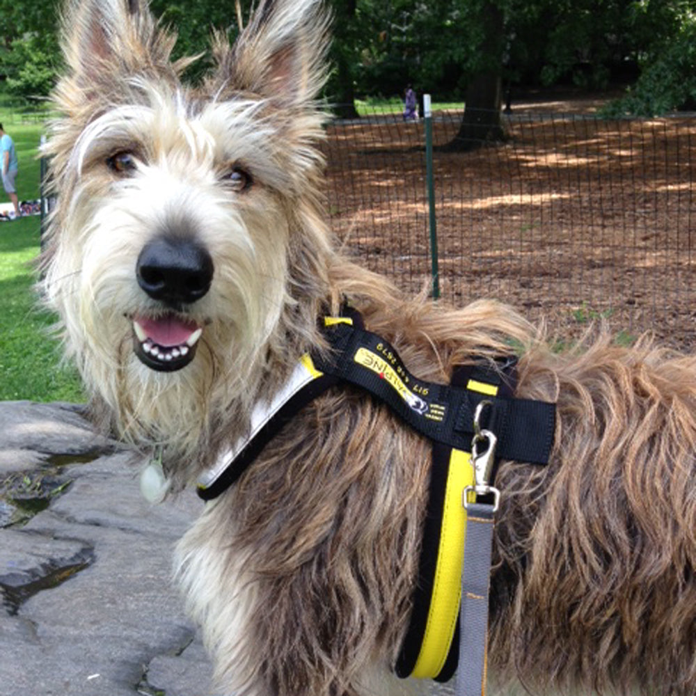 Urban Trail® Adjustable Harness (Half-Back/Shorty) - CUSTOM FIT