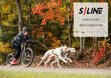 Load image into Gallery viewer, S/LINE PRO Bikejor Antenna