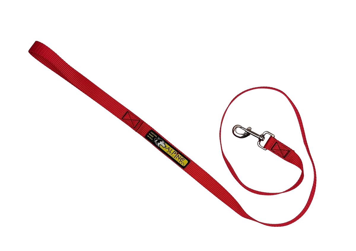 Standard Leash, 5 Foot