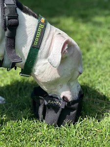 Collapse-a-Bowl for Dogs - Portable Water Bowl for Hiking, Running, and Walking - Free Monogram - Hand-Made in the USA!