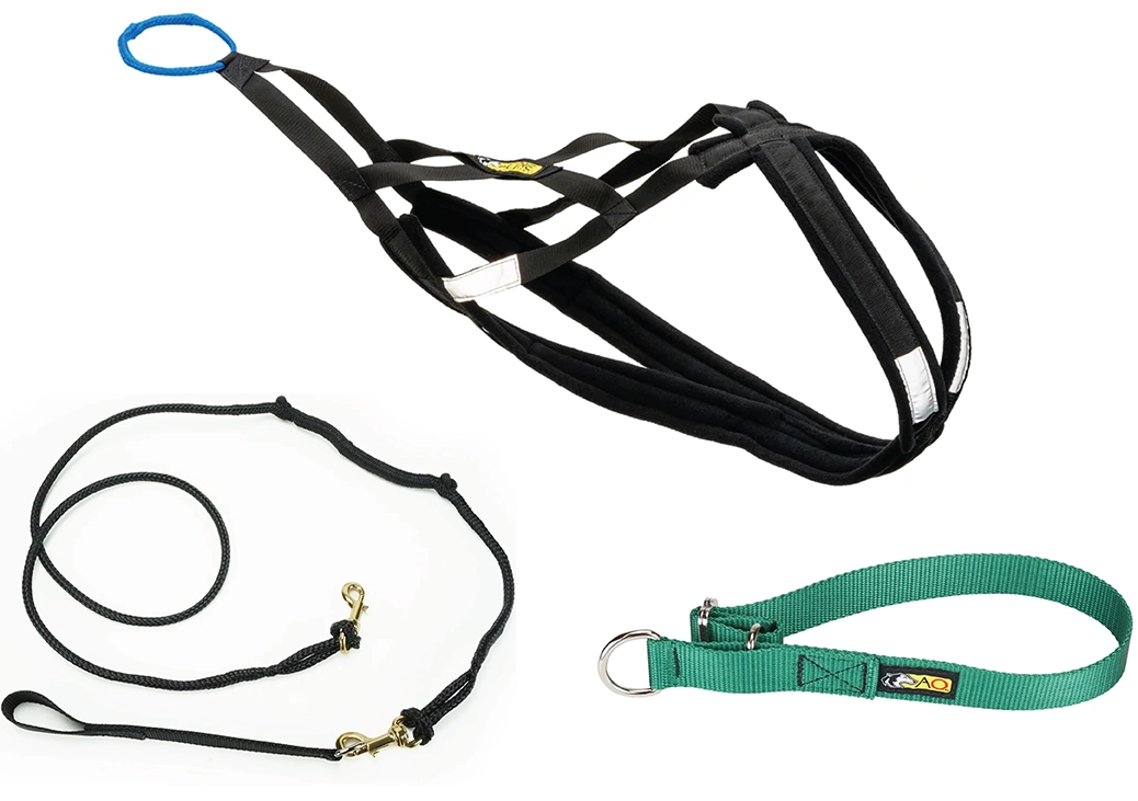 Basic Bikejor/Scooter Bundle (1-Dog with 2-Dog Option)