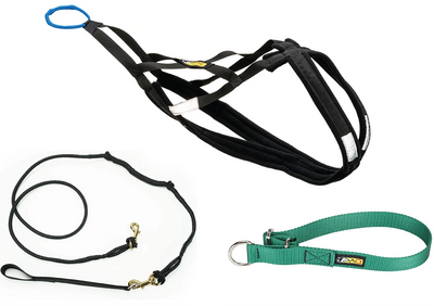 Basic Bikejor/Scooter Bundle (1-Dog with 2-Dog Option)