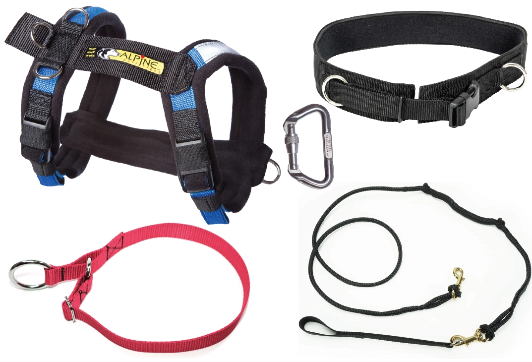 Deluxe Bikejor Bundle (1-Dog with 2-Dog Option)