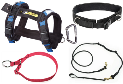 Deluxe Bikejor Bundle (1-Dog with 2-Dog Option)