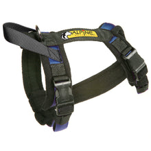 Load image into Gallery viewer, Flyball Harness 1&quot; Webbing