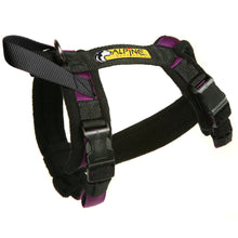 Load image into Gallery viewer, Flyball Harness 1&quot; Webbing