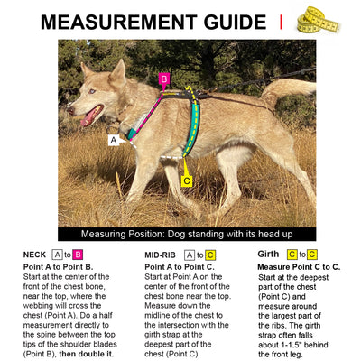 Urban Trail® Adjustable Dog Harness (Half-Back/Shorty)