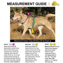 Load image into Gallery viewer, WalkyDog Universal Bicycle Leash &amp; Harness Bundle