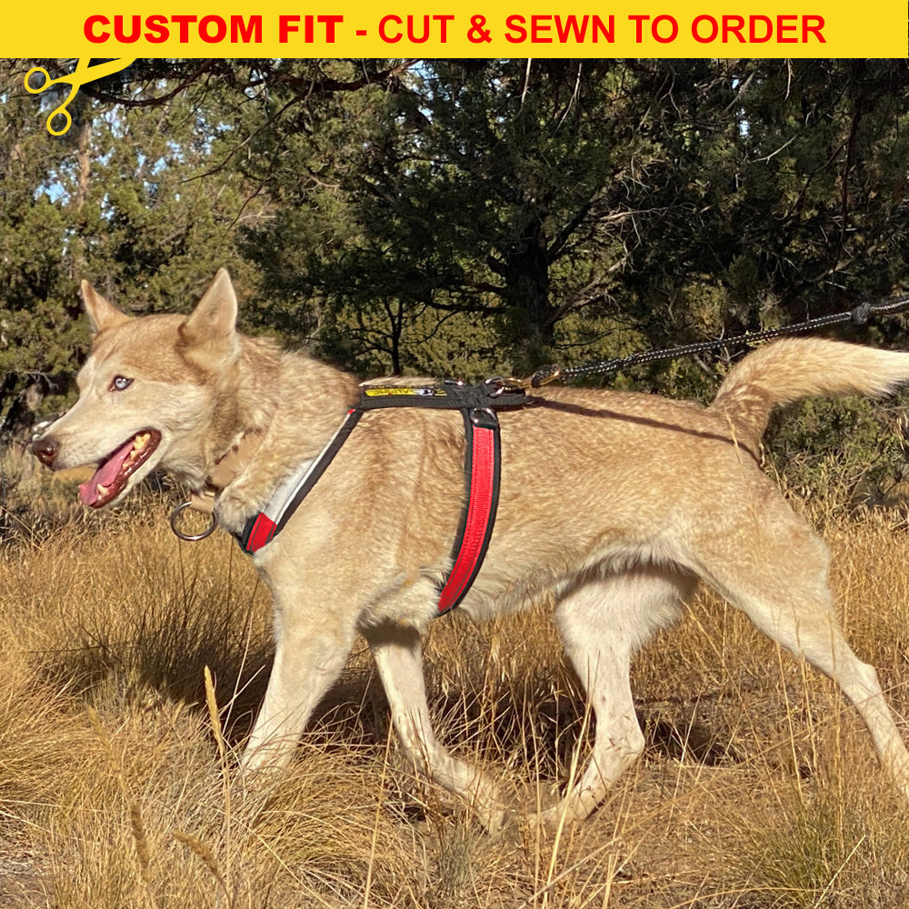 Urban Trail® Adjustable Harness (Half-Back/Shorty) - CUSTOM FIT