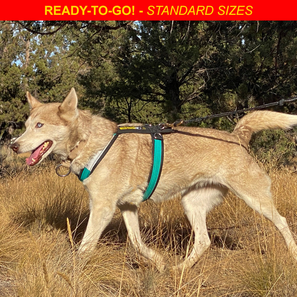 Urban Trail® Adjustable Dog Harness (Half-Back/Shorty)