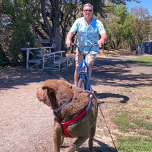 Load image into Gallery viewer, Sprocket Legend Scooter