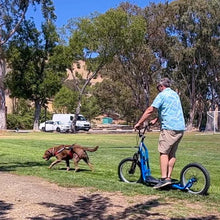Load image into Gallery viewer, Sprocket Legend Scooter
