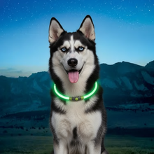 Load image into Gallery viewer, NiteHowl® Rechargeable LED Safety Necklace