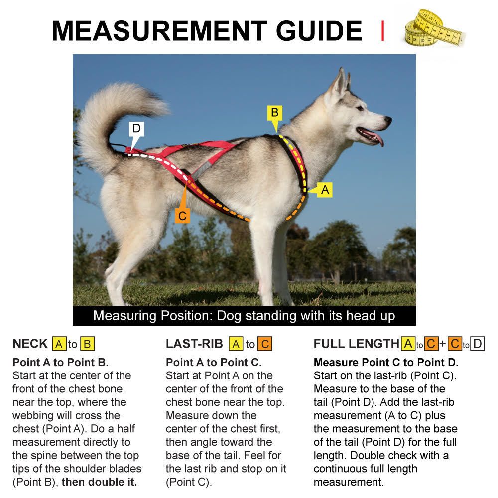 X-Back Harness TEAL 21.5 x 29.5, 18