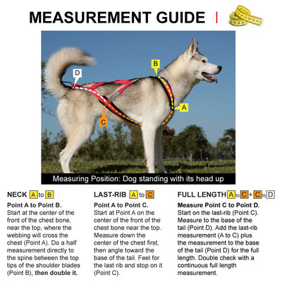 X-Back Harness TEAL 21.5 x 29.5, 18