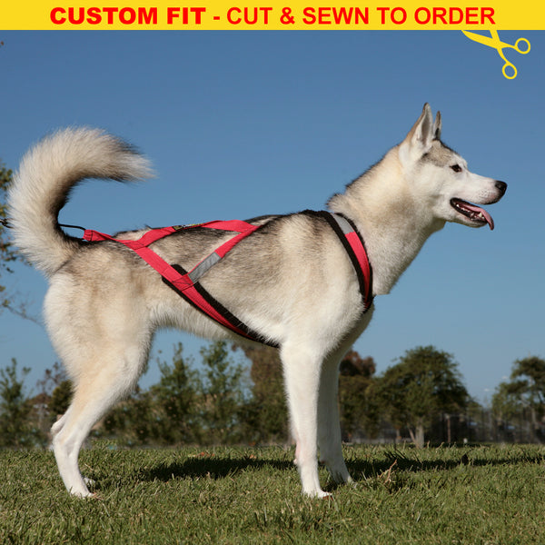 X-Back Harness - CUSTOM FIT - Cut & Sewn to Order – Alpine Outfitters