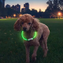 Load image into Gallery viewer, NiteHowl® Rechargeable LED Safety Necklace