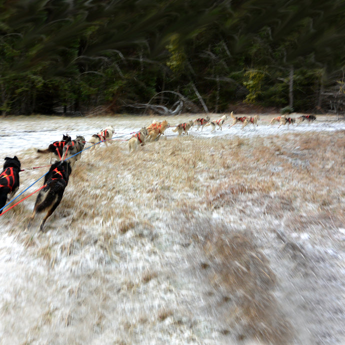 Ganglines & Other Lines – Alpine Outfitters