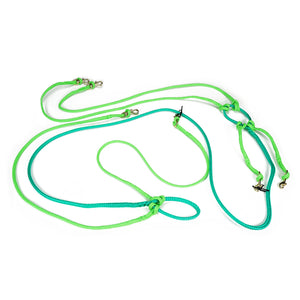 Sled Bundle (1-Dog with 2-Dog Option)