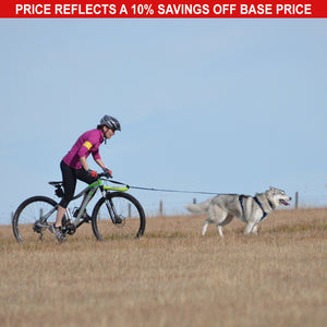 Urban Trail® Adjustable Dog Harness, No-Pull D-Ring – Padded, Reflective, Multi-Use for Hiking, Running, & Everyday Wear