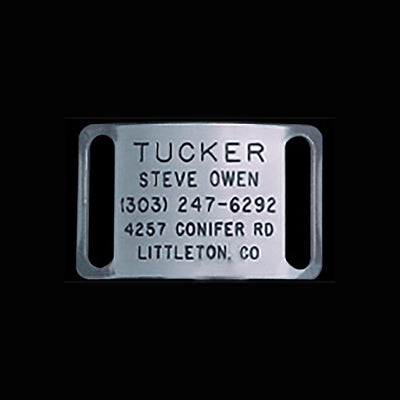 Boomerang Stainless Steel ID Tags