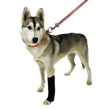 Load image into Gallery viewer, AO Canine Carpal Wraps