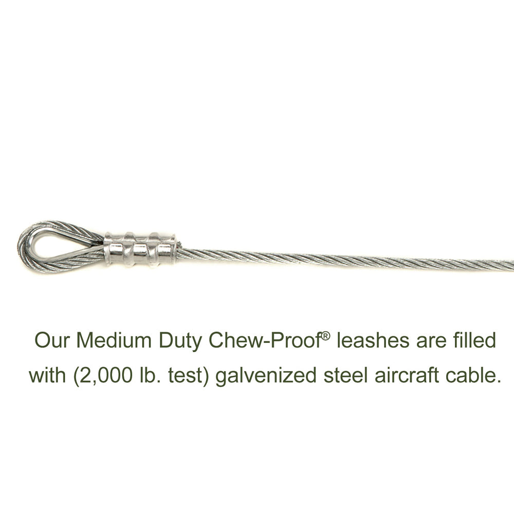 Chew-Proof® Dog Leashes
