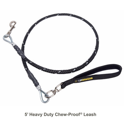 Chew-Proof® Dog Leashes
