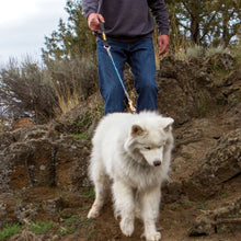 Load image into Gallery viewer, Chew-Proof® Leashes (Cable Filled)