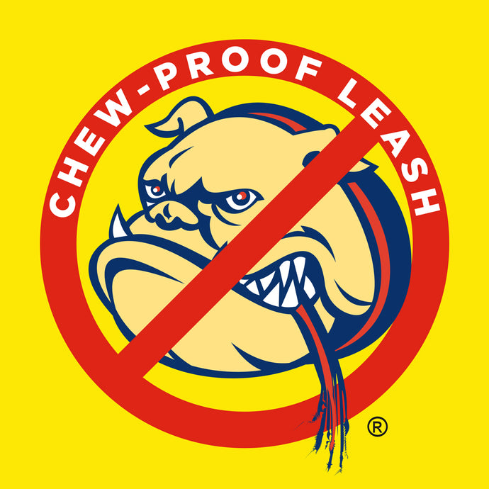 Chew-Proof® Leashes (Cable Filled)