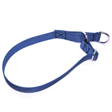 Load image into Gallery viewer, Limited Slip Collar, with O-Ring or D-Ring - Made in the USA!