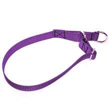 Load image into Gallery viewer, Limited Slip Collar, with O-Ring or D-Ring - Made in the USA!