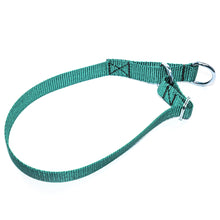 Load image into Gallery viewer, Limited Slip Collar, with O-Ring or D-Ring - Made in the USA!