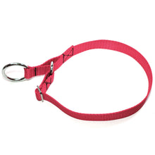 Load image into Gallery viewer, Limited Slip Collar, with O-Ring or D-Ring - Made in the USA!