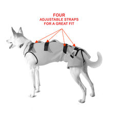 Load image into Gallery viewer, Dog Jacket - Polartech